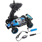 High Speed RC Racing Car with 2 Rechargeable Batteries, 1/20 2WD All Terrain Hobby RC Cars Toys Fast Vehicle